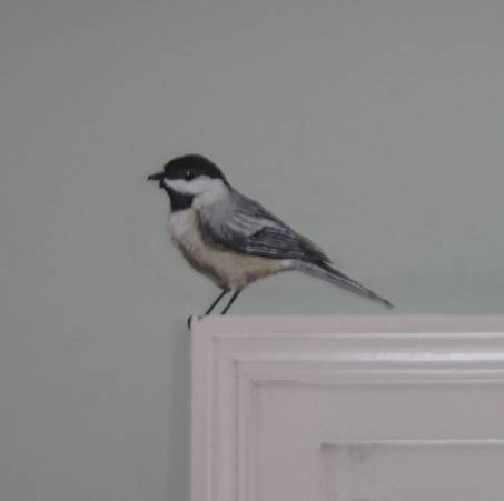 Small paintings on the wall of a natural science museum: black-capped chickadee