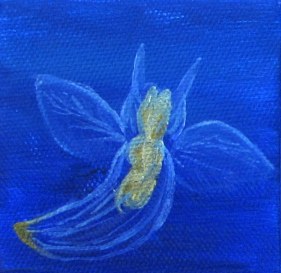 Found throughout the world, I first encountered these very tiny and very cute sea creatures in an aquarium display in Mie, Japan.