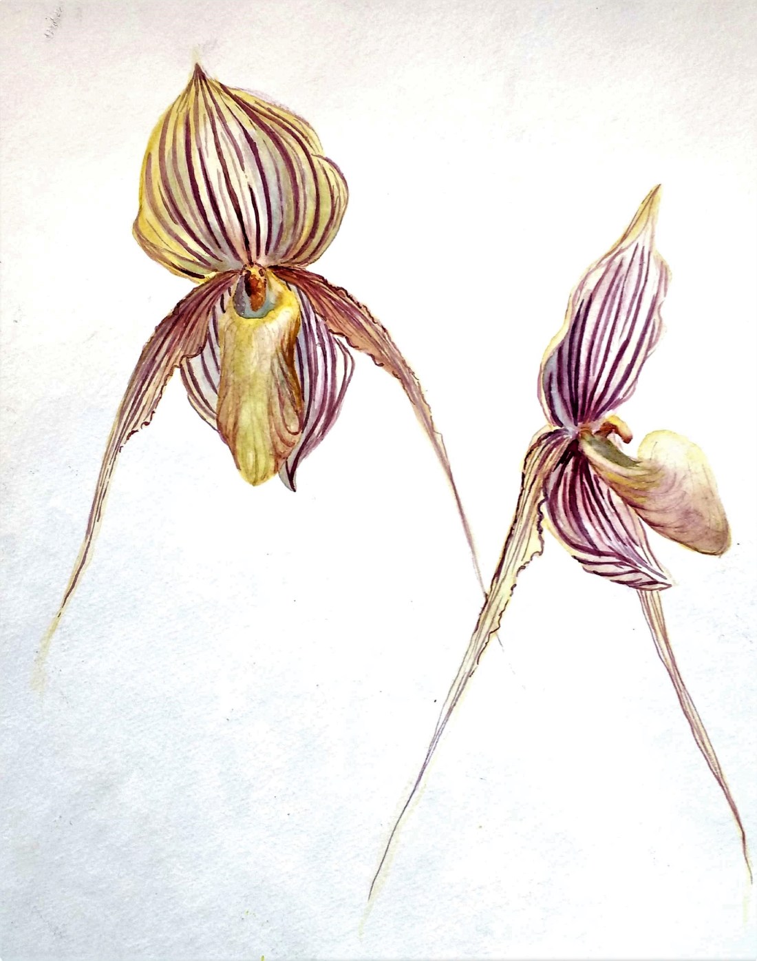 New Doc 2017-05-15_2