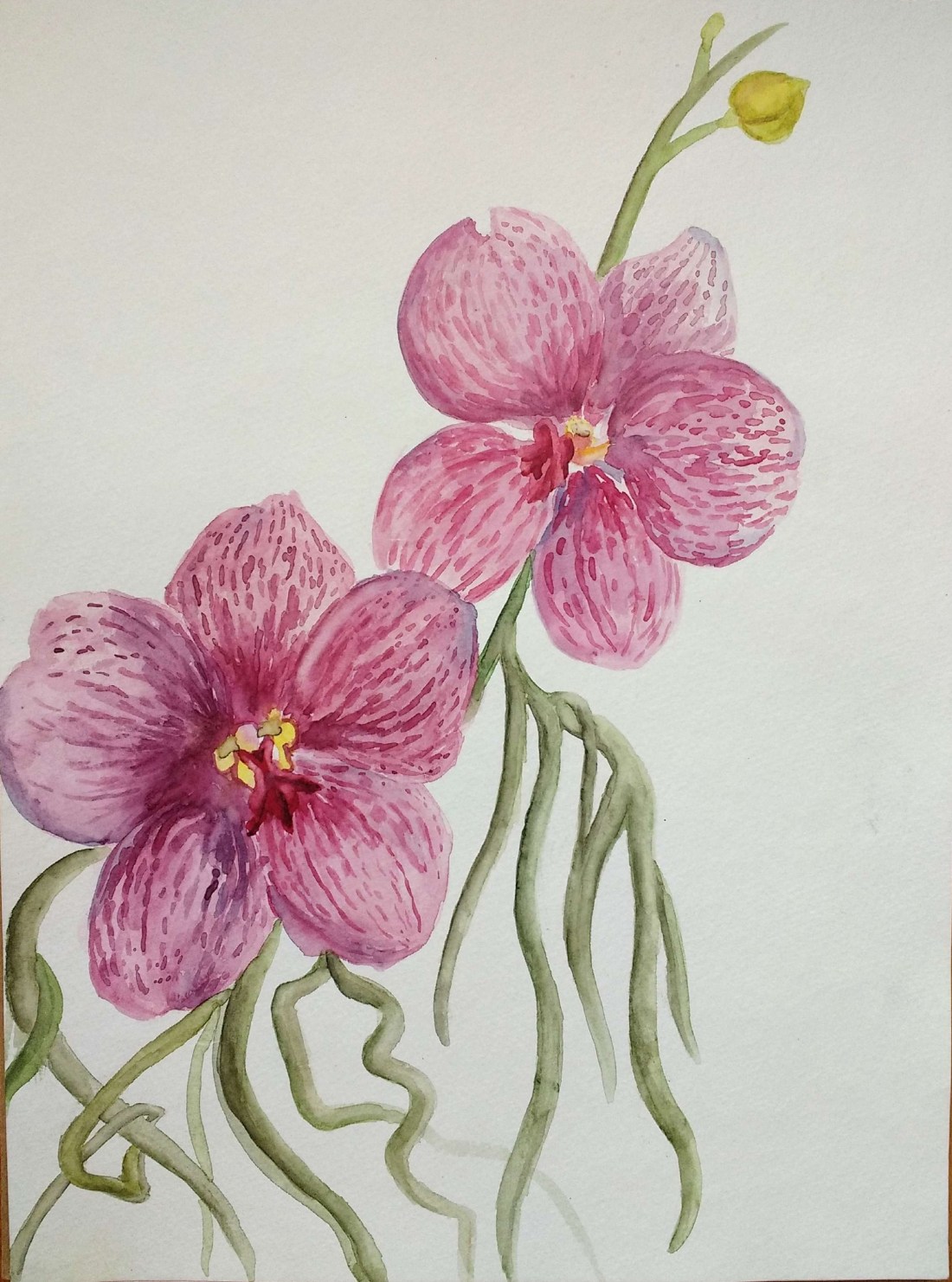 New Doc 2017-05-15_4