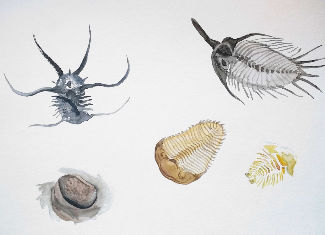 New Doc 2017-05-15_7